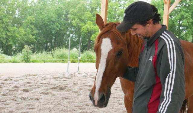 bienfaits de l'équitation